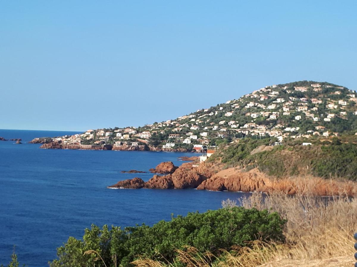 Frejus Plage T2, Piscine, Parking, Plages A 200M מראה חיצוני תמונה